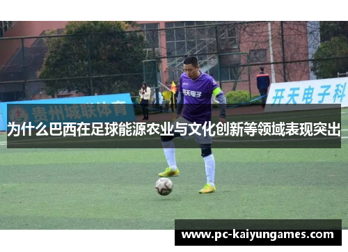 为什么巴西在足球能源农业与文化创新等领域表现突出