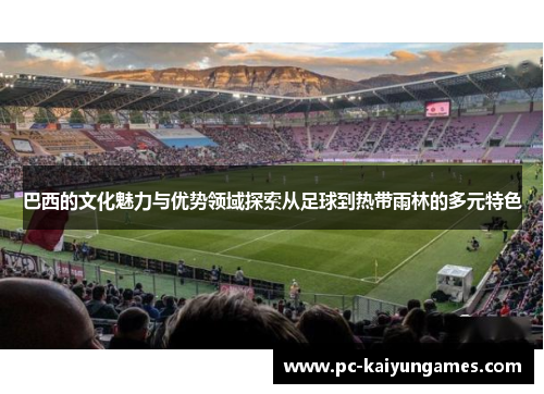 巴西的文化魅力与优势领域探索从足球到热带雨林的多元特色