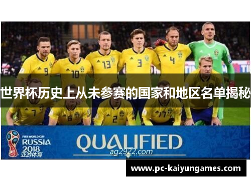 世界杯历史上从未参赛的国家和地区名单揭秘