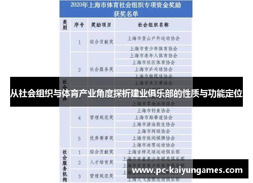 从社会组织与体育产业角度探析建业俱乐部的性质与功能定位 从社会组织与体育产业角度探析建业俱乐部的性质与功能定位